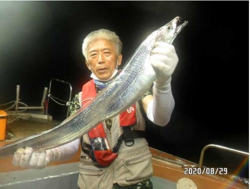 8월30일 여수대박호 백도권씨알좋은갈치 조황입니다.