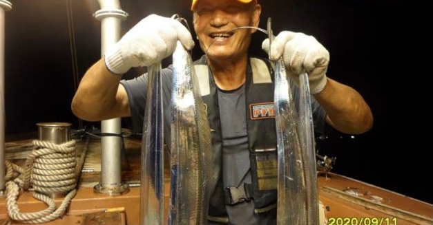 9월 11일 여수대박호 백도권씨알좋은갈치 조황입니다.